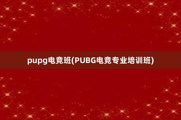 pupg电竞班(PUBG电竞专业培训班)