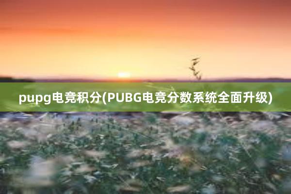 pupg电竞积分(PUBG电竞分数系统全面升级)