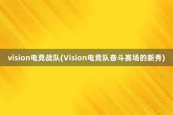 vision电竞战队(Vision电竞队奋斗赛场的新秀)