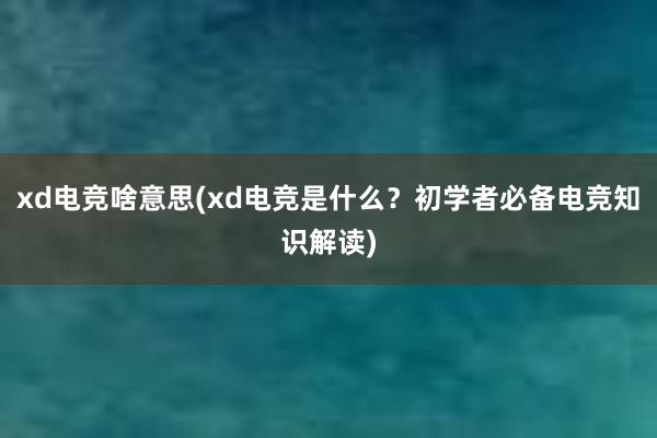 xd电竞啥意思(xd电竞是什么？初学者必备电竞知识解读)