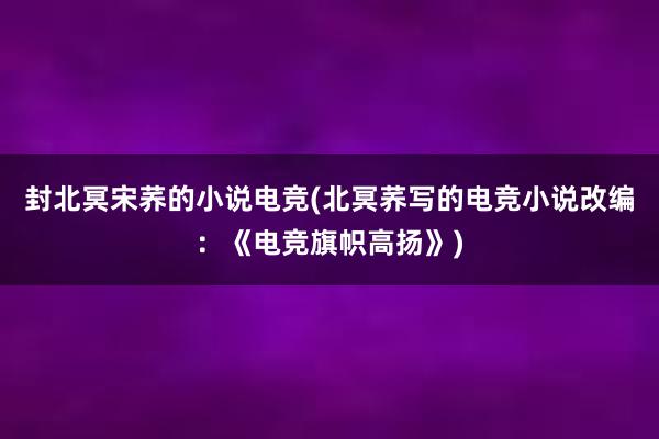 封北冥宋荞的小说电竞(北冥荞写的电竞小说改编：《电竞旗帜高扬》)