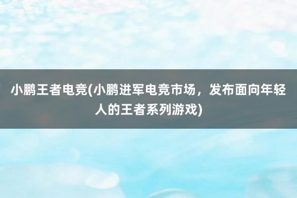 小鹏王者电竞(小鹏进军电竞市场，发布面向年轻人的王者系列游戏)