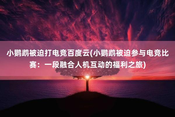 小鹦鹉被迫打电竞百度云(小鹦鹉被迫参与电竞比赛：一段融合人机互动的福利之旅)