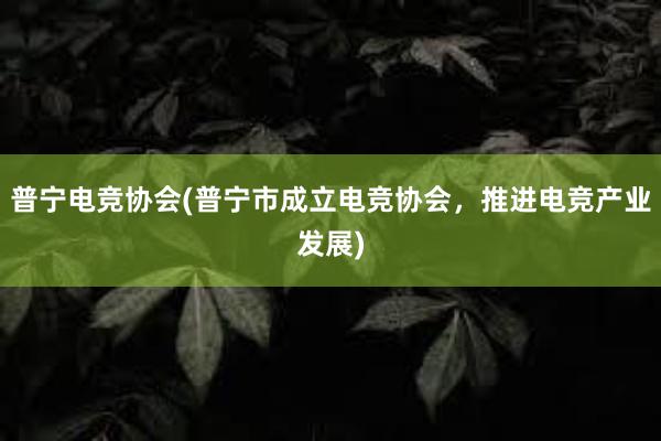 普宁电竞协会(普宁市成立电竞协会，推进电竞产业发展)