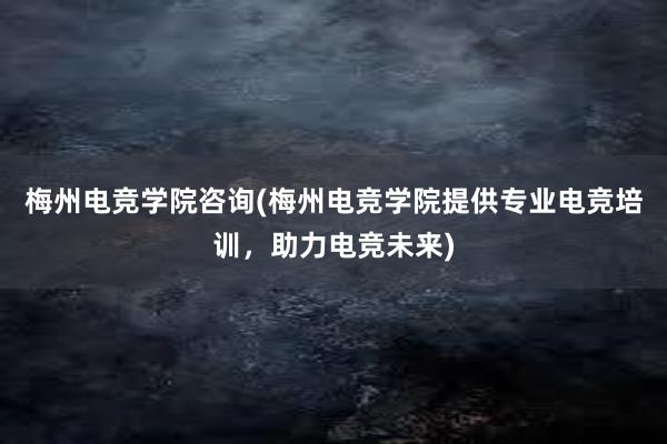 梅州电竞学院咨询(梅州电竞学院提供专业电竞培训，助力电竞未来)