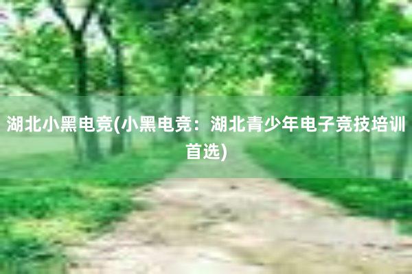 湖北小黑电竞(小黑电竞：湖北青少年电子竞技培训首选)