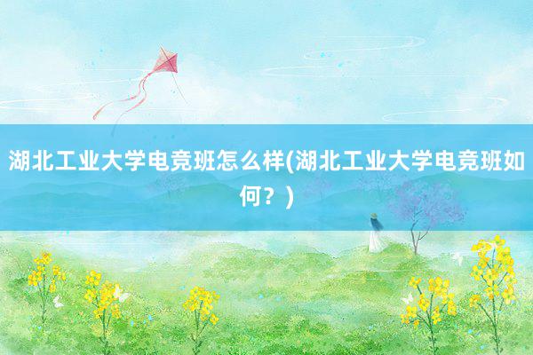 湖北工业大学电竞班怎么样(湖北工业大学电竞班如何？)