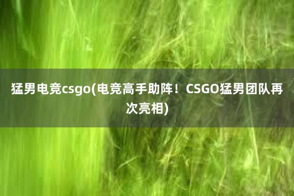 猛男电竞csgo(电竞高手助阵！CSGO猛男团队再次亮相)