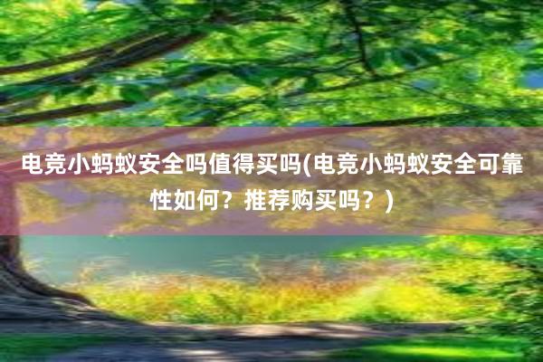 电竞小蚂蚁安全吗值得买吗(电竞小蚂蚁安全可靠性如何？推荐购买吗？)