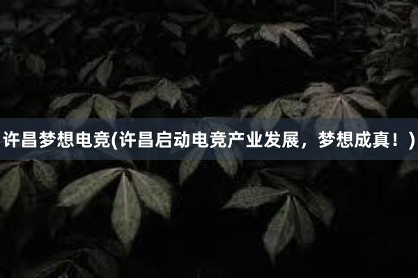 许昌梦想电竞(许昌启动电竞产业发展，梦想成真！)