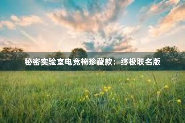 秘密实验室电竞椅珍藏款：终极联名版