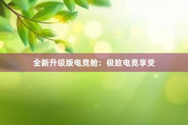 全新升级版电竞舱：极致电竞享受