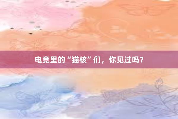 电竞里的“猫核”们，你见过吗？