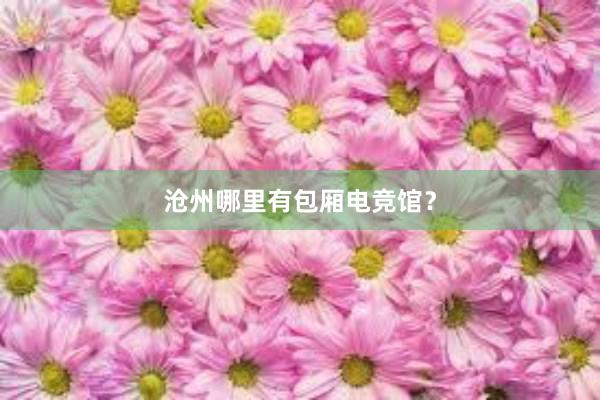 沧州哪里有包厢电竞馆？