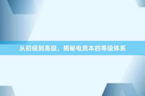 从初级到高级，揭秘电竞本的等级体系