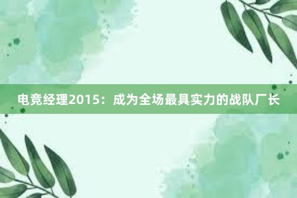 电竞经理2015：成为全场最具实力的战队厂长