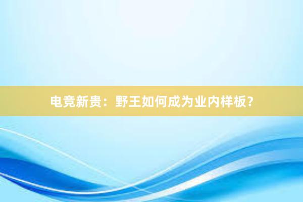 电竞新贵：野王如何成为业内样板？